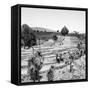 ¡Viva Mexico! Square Collection - Pyramid of Cantona Archaeological Ruins II-Philippe Hugonnard-Framed Stretched Canvas