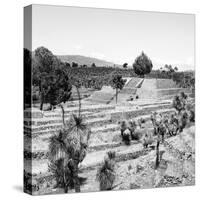 ¡Viva Mexico! Square Collection - Pyramid of Cantona Archaeological Ruins II-Philippe Hugonnard-Stretched Canvas