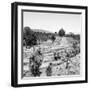 ¡Viva Mexico! Square Collection - Pyramid of Cantona Archaeological Ruins II-Philippe Hugonnard-Framed Photographic Print