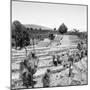 ¡Viva Mexico! Square Collection - Pyramid of Cantona Archaeological Ruins II-Philippe Hugonnard-Mounted Photographic Print