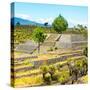 ¡Viva Mexico! Square Collection - Pyramid of Cantona Archaeological Ruins III-Philippe Hugonnard-Stretched Canvas