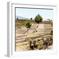 ¡Viva Mexico! Square Collection - Pyramid of Cantona Archaeological Ruins IV-Philippe Hugonnard-Framed Photographic Print