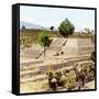 ¡Viva Mexico! Square Collection - Pyramid of Cantona Archaeological Ruins IV-Philippe Hugonnard-Framed Stretched Canvas
