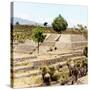 ¡Viva Mexico! Square Collection - Pyramid of Cantona Archaeological Ruins IV-Philippe Hugonnard-Stretched Canvas