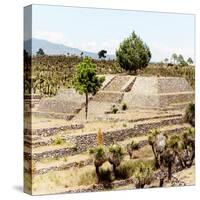 ¡Viva Mexico! Square Collection - Pyramid of Cantona Archaeological Ruins IV-Philippe Hugonnard-Stretched Canvas
