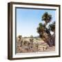 ¡Viva Mexico! Square Collection - Pyramid of Cantona Archaeological Ruins IX-Philippe Hugonnard-Framed Photographic Print