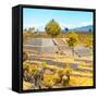 ¡Viva Mexico! Square Collection - Pyramid of Cantona Archaeological Ruins V-Philippe Hugonnard-Framed Stretched Canvas