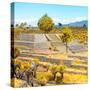 ¡Viva Mexico! Square Collection - Pyramid of Cantona Archaeological Ruins V-Philippe Hugonnard-Stretched Canvas