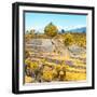 ¡Viva Mexico! Square Collection - Pyramid of Cantona Archaeological Ruins V-Philippe Hugonnard-Framed Photographic Print