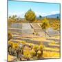 ¡Viva Mexico! Square Collection - Pyramid of Cantona Archaeological Ruins V-Philippe Hugonnard-Mounted Photographic Print