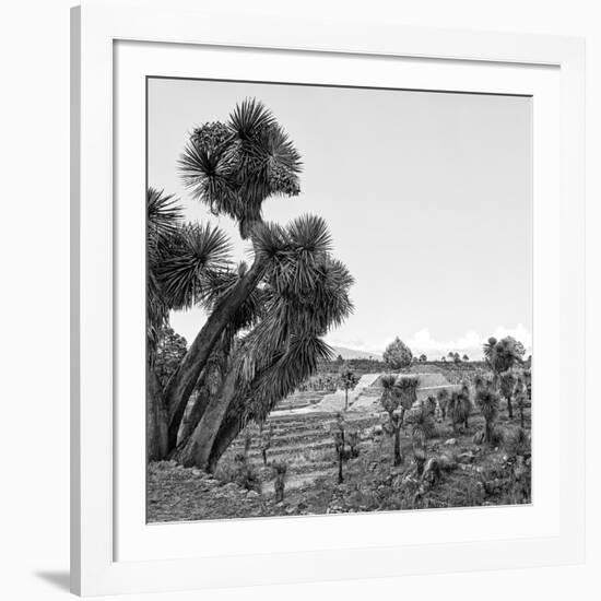 ¡Viva Mexico! Square Collection - Pyramid of Cantona Archaeological Ruins VIII-Philippe Hugonnard-Framed Photographic Print