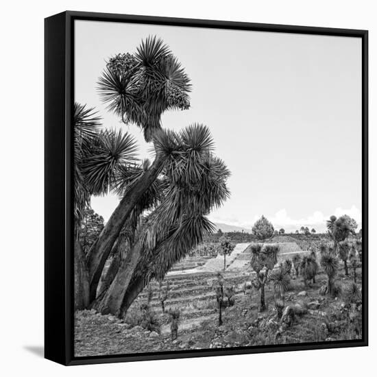 ¡Viva Mexico! Square Collection - Pyramid of Cantona Archaeological Ruins VIII-Philippe Hugonnard-Framed Stretched Canvas