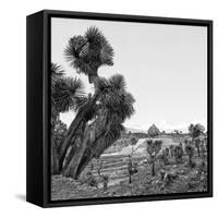 ¡Viva Mexico! Square Collection - Pyramid of Cantona Archaeological Ruins VIII-Philippe Hugonnard-Framed Stretched Canvas