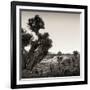 ¡Viva Mexico! Square Collection - Pyramid of Cantona Archaeological Ruins X-Philippe Hugonnard-Framed Photographic Print