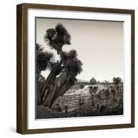 ¡Viva Mexico! Square Collection - Pyramid of Cantona Archaeological Ruins X-Philippe Hugonnard-Framed Photographic Print