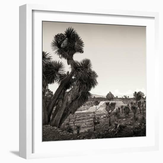 ¡Viva Mexico! Square Collection - Pyramid of Cantona Archaeological Ruins X-Philippe Hugonnard-Framed Photographic Print