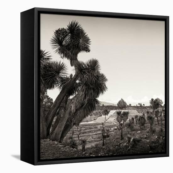 ¡Viva Mexico! Square Collection - Pyramid of Cantona Archaeological Ruins X-Philippe Hugonnard-Framed Stretched Canvas