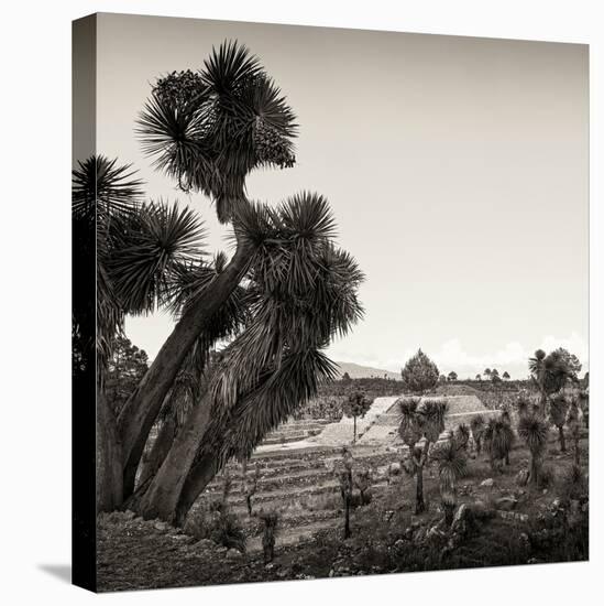 ¡Viva Mexico! Square Collection - Pyramid of Cantona Archaeological Ruins X-Philippe Hugonnard-Stretched Canvas