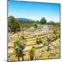 ¡Viva Mexico! Square Collection - Pyramid of Cantona Archaeological Ruins-Philippe Hugonnard-Mounted Photographic Print