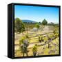 ¡Viva Mexico! Square Collection - Pyramid of Cantona Archaeological Ruins-Philippe Hugonnard-Framed Stretched Canvas