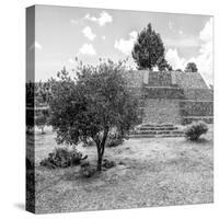¡Viva Mexico! Square Collection - Pyramid of Cantona I-Philippe Hugonnard-Stretched Canvas
