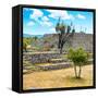 ¡Viva Mexico! Square Collection - Pyramid of Cantona II-Philippe Hugonnard-Framed Stretched Canvas