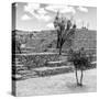¡Viva Mexico! Square Collection - Pyramid of Cantona III-Philippe Hugonnard-Stretched Canvas
