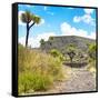 ¡Viva Mexico! Square Collection - Pyramid of Cantona IV-Philippe Hugonnard-Framed Stretched Canvas