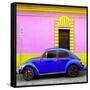 ¡Viva Mexico! Square Collection - Royal Blue VW Beetle - San Cristobal-Philippe Hugonnard-Framed Stretched Canvas