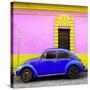 ¡Viva Mexico! Square Collection - Royal Blue VW Beetle - San Cristobal-Philippe Hugonnard-Stretched Canvas