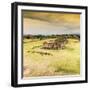 ¡Viva Mexico! Square Collection - Ruins of Monte Alban at Sunset I-Philippe Hugonnard-Framed Photographic Print