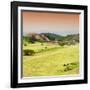 ¡Viva Mexico! Square Collection - Ruins of Monte Alban at Sunset III-Philippe Hugonnard-Framed Photographic Print