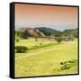 ¡Viva Mexico! Square Collection - Ruins of Monte Alban at Sunset III-Philippe Hugonnard-Framed Stretched Canvas