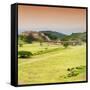 ¡Viva Mexico! Square Collection - Ruins of Monte Alban at Sunset III-Philippe Hugonnard-Framed Stretched Canvas