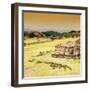 ¡Viva Mexico! Square Collection - Ruins of Monte Alban at Sunset-Philippe Hugonnard-Framed Photographic Print