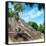 ¡Viva Mexico! Square Collection - Ruins of the ancient Mayan City of Calakmul III-Philippe Hugonnard-Framed Stretched Canvas