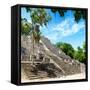 ¡Viva Mexico! Square Collection - Ruins of the ancient Mayan City of Calakmul III-Philippe Hugonnard-Framed Stretched Canvas