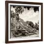 ¡Viva Mexico! Square Collection - Ruins of the ancient Mayan City of Calakmul IV-Philippe Hugonnard-Framed Photographic Print