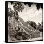 ¡Viva Mexico! Square Collection - Ruins of the ancient Mayan City of Calakmul IV-Philippe Hugonnard-Framed Stretched Canvas