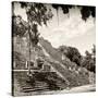 ¡Viva Mexico! Square Collection - Ruins of the ancient Mayan City of Calakmul IV-Philippe Hugonnard-Stretched Canvas