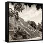 ¡Viva Mexico! Square Collection - Ruins of the ancient Mayan City of Calakmul IV-Philippe Hugonnard-Framed Stretched Canvas