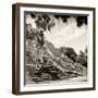 ¡Viva Mexico! Square Collection - Ruins of the ancient Mayan City of Calakmul IV-Philippe Hugonnard-Framed Photographic Print