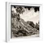 ¡Viva Mexico! Square Collection - Ruins of the ancient Mayan City of Calakmul IV-Philippe Hugonnard-Framed Photographic Print