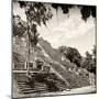 ¡Viva Mexico! Square Collection - Ruins of the ancient Mayan City of Calakmul IV-Philippe Hugonnard-Mounted Photographic Print