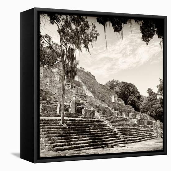 ¡Viva Mexico! Square Collection - Ruins of the ancient Mayan City of Calakmul IV-Philippe Hugonnard-Framed Stretched Canvas