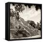 ¡Viva Mexico! Square Collection - Ruins of the ancient Mayan City of Calakmul IV-Philippe Hugonnard-Framed Stretched Canvas