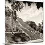 ¡Viva Mexico! Square Collection - Ruins of the ancient Mayan City of Calakmul IV-Philippe Hugonnard-Mounted Photographic Print