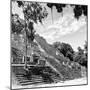 ¡Viva Mexico! Square Collection - Ruins of the ancient Mayan City of Calakmul V-Philippe Hugonnard-Mounted Photographic Print