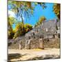 ¡Viva Mexico! Square Collection - Ruins of the ancient Mayan City of Calakmul with Fall Colors-Philippe Hugonnard-Mounted Photographic Print