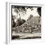 ¡Viva Mexico! Square Collection - Ruins of the ancient Mayan City of Calakmul-Philippe Hugonnard-Framed Photographic Print